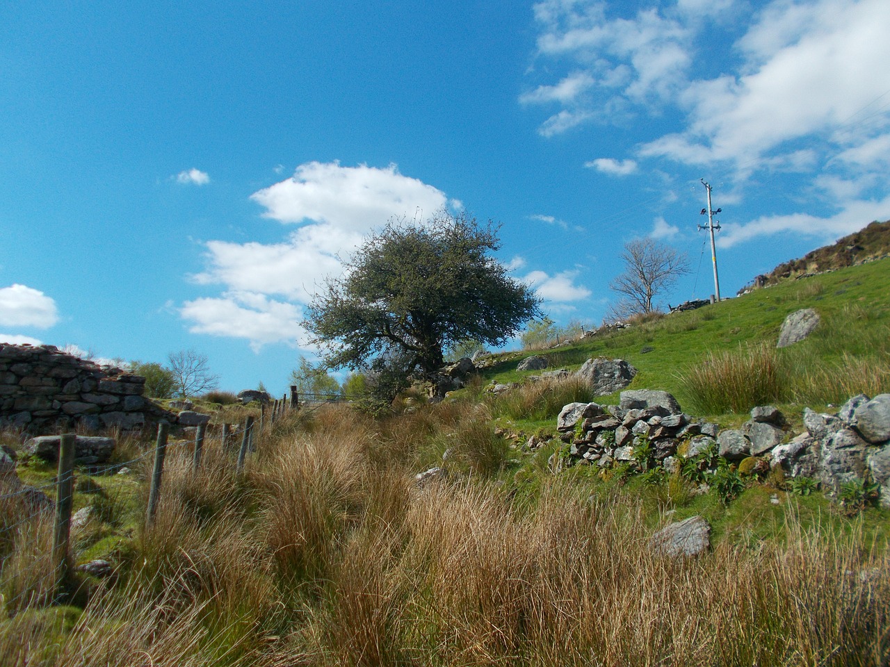 countryside wales nature free photo