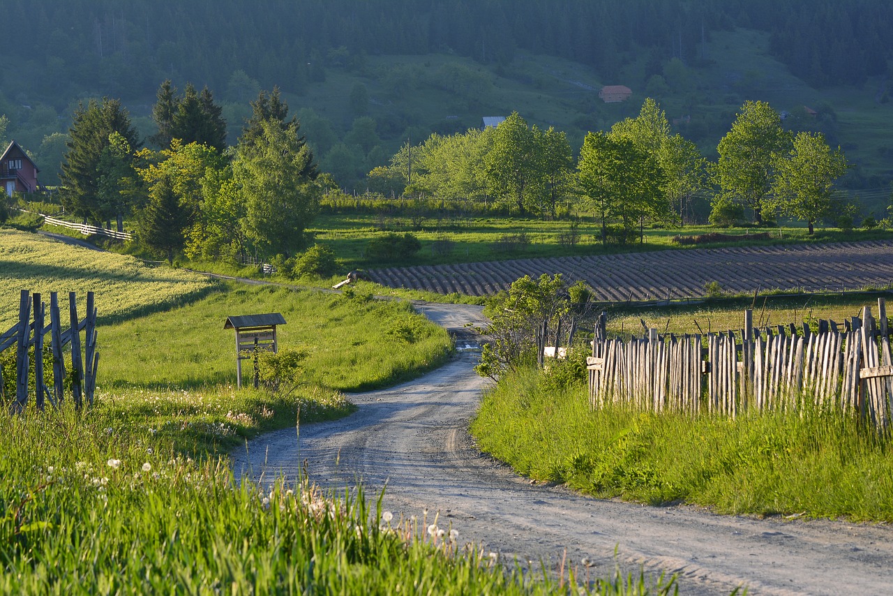 countryside  landscape  rural free photo