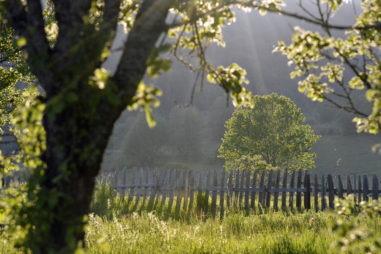 countryside  landscape  rural free photo