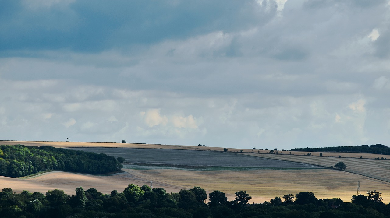 countryside  england  wiltshire free photo