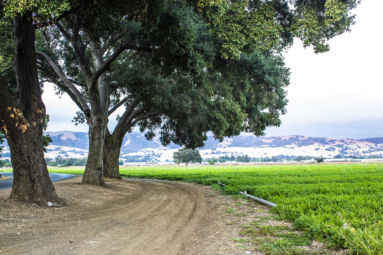 countryside  farm  agriculture free photo