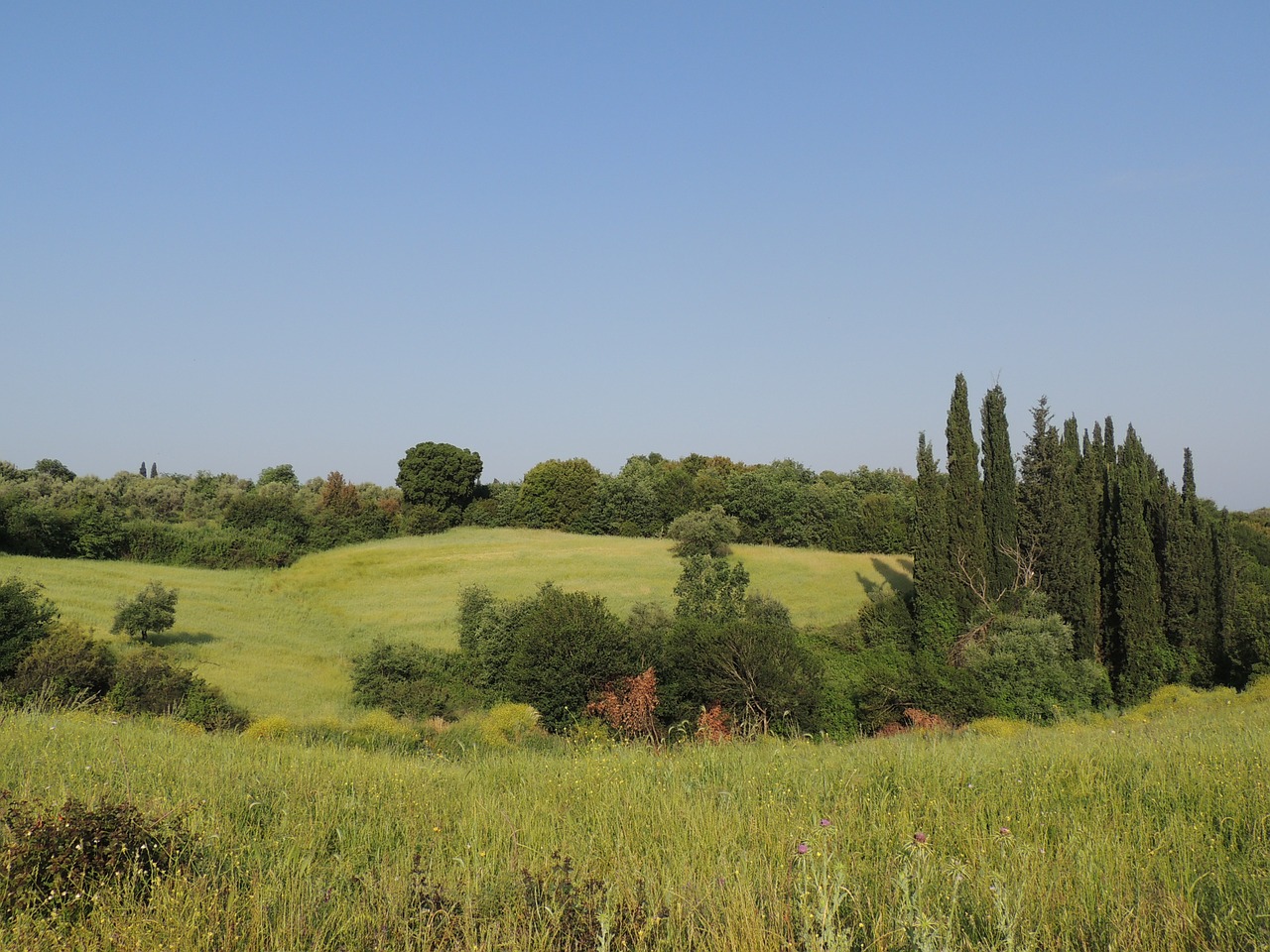 countryside nature greece free photo