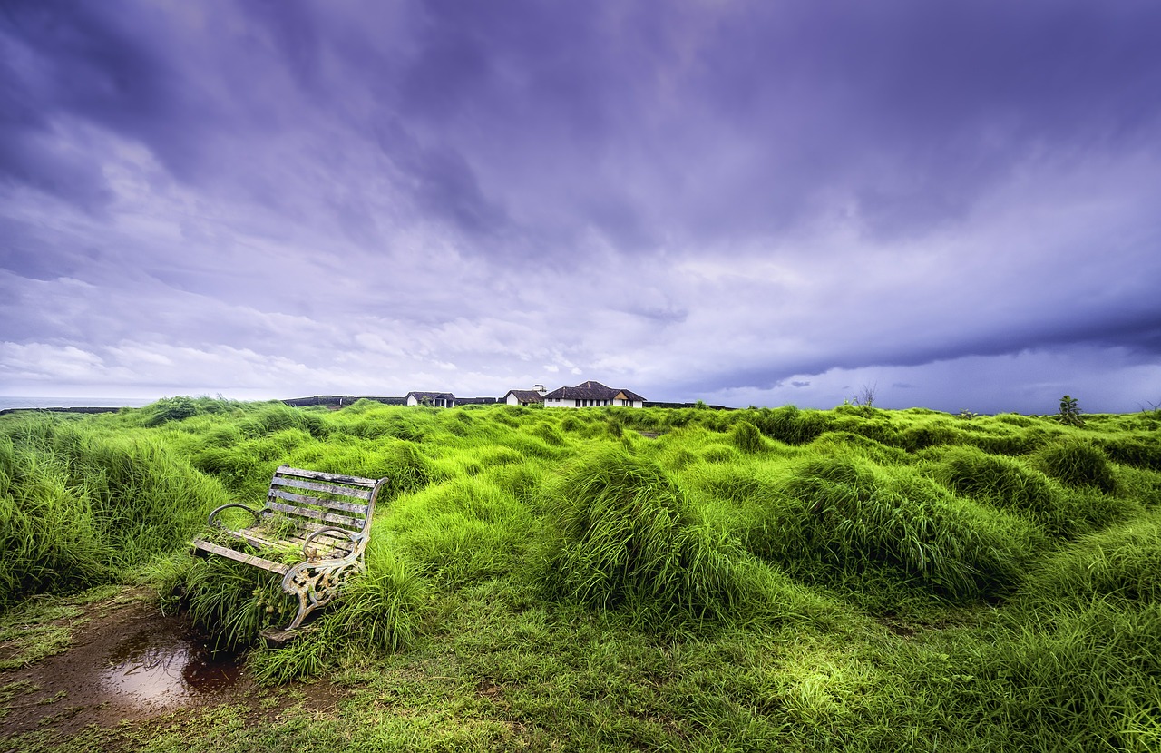 countryside green vast free photo