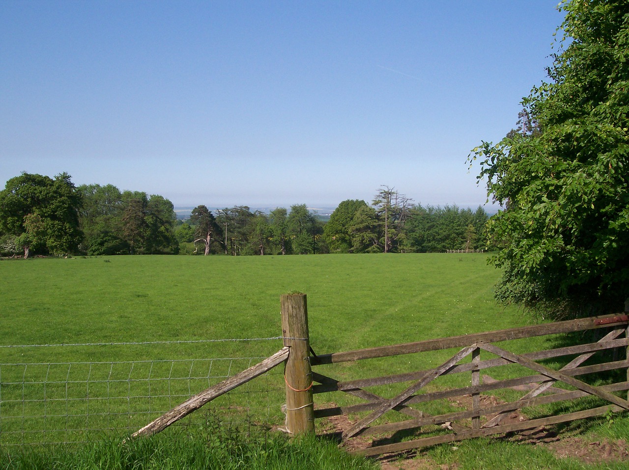 countryside north downs kent free photo