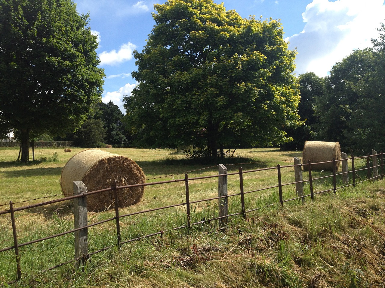 countryside england fields free photo