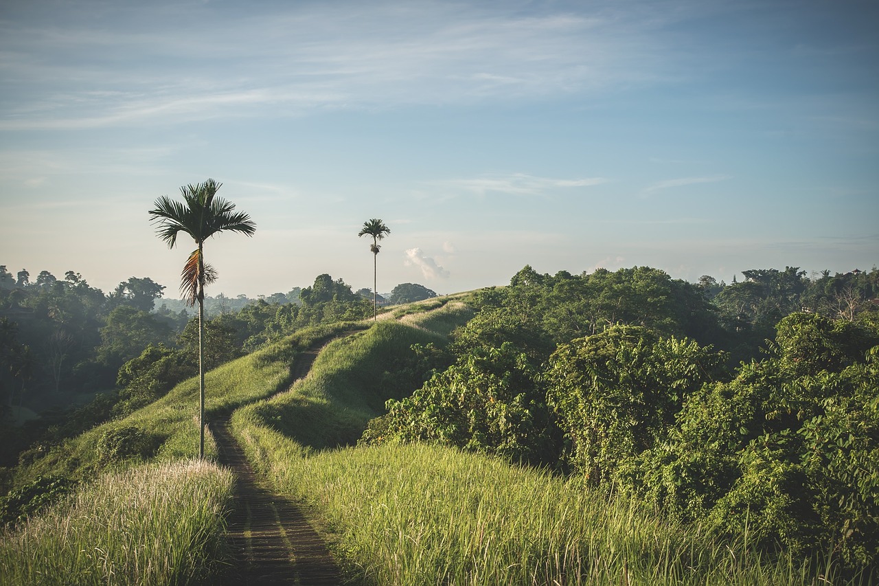 countryside path nature free photo