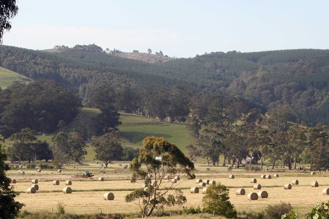 countryside hay farming free photo