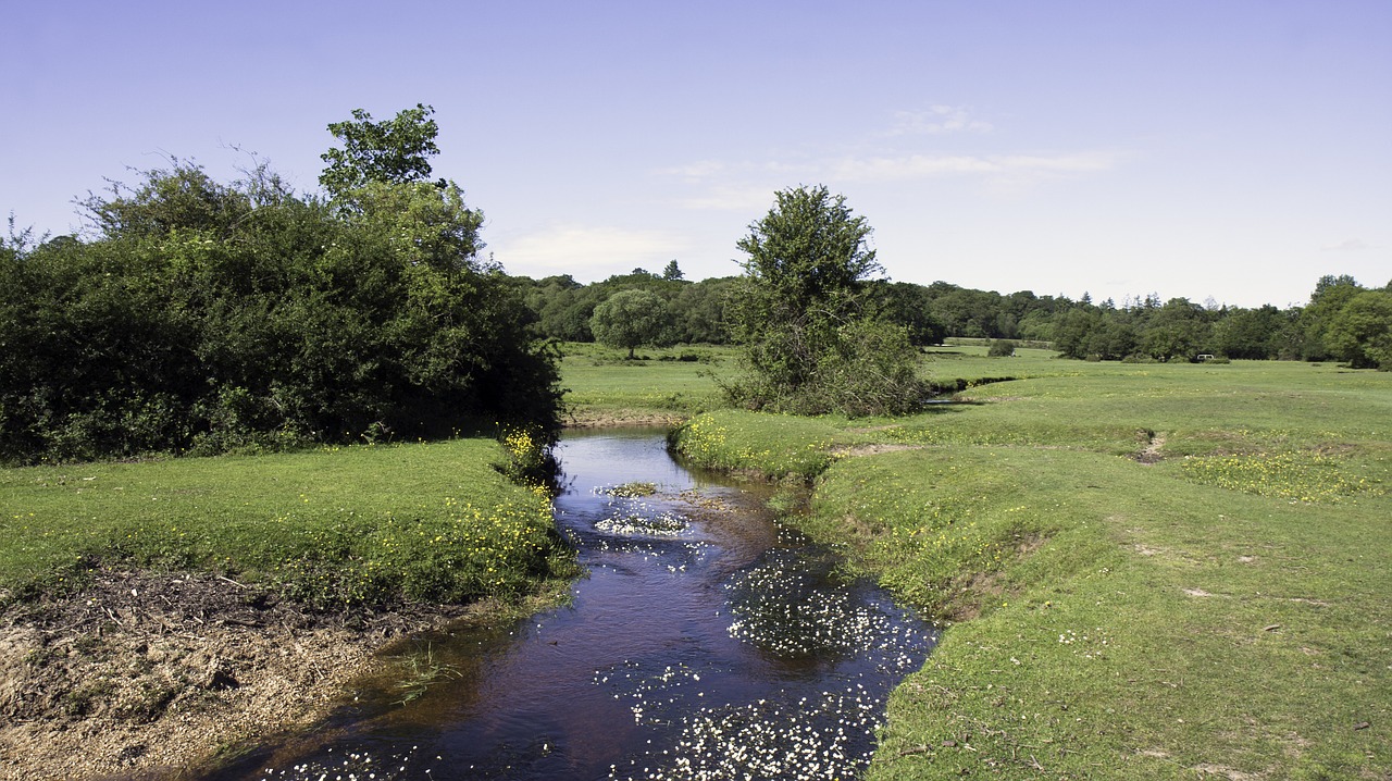 countryside stream brook free photo