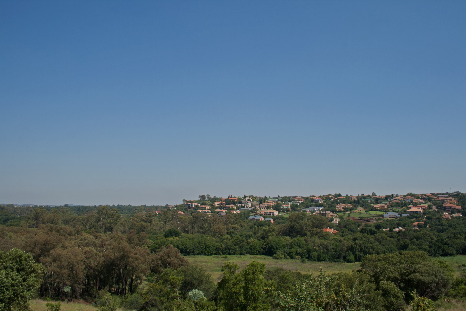 country veld nature free photo