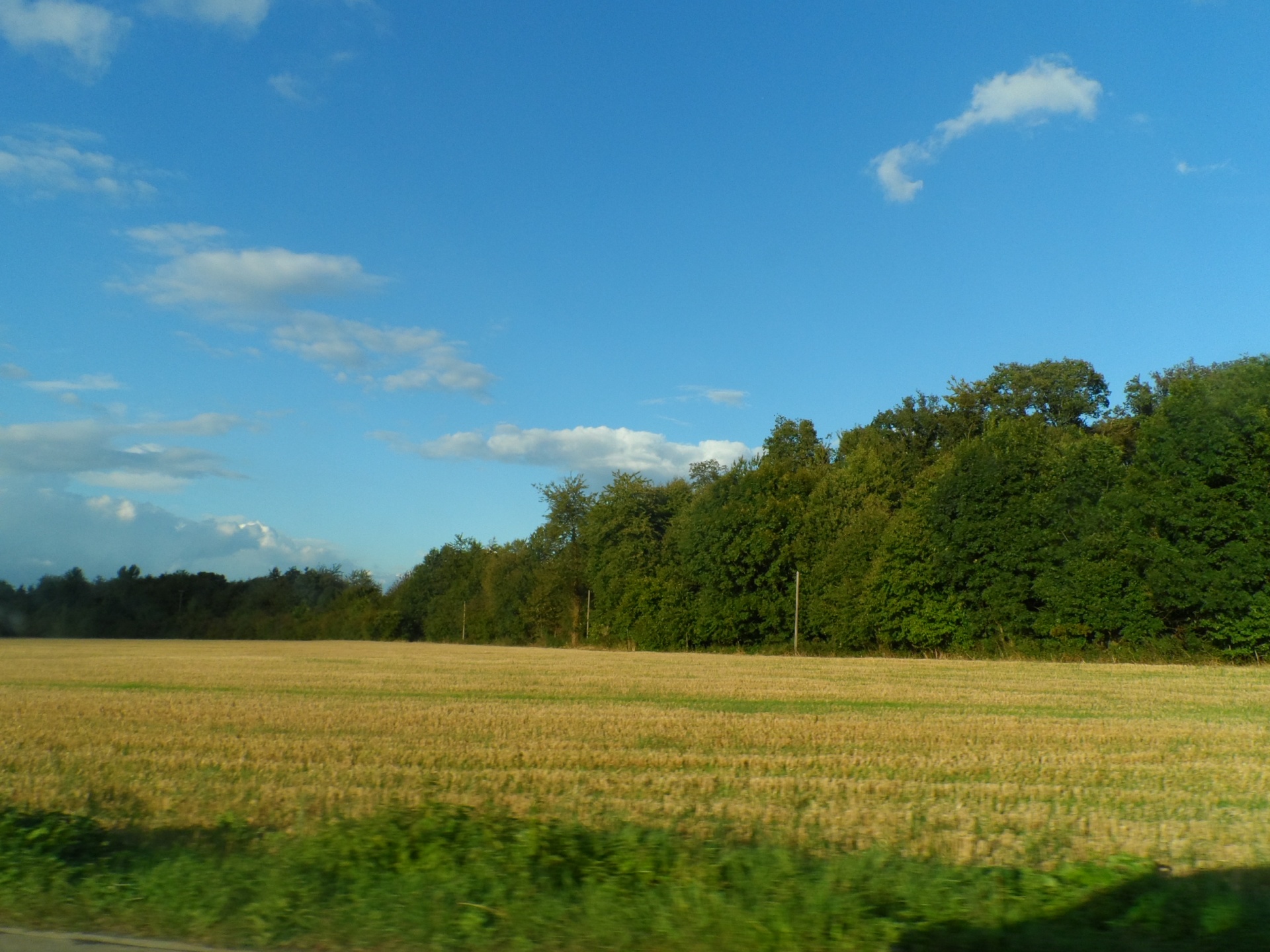 countryside highway trees free photo