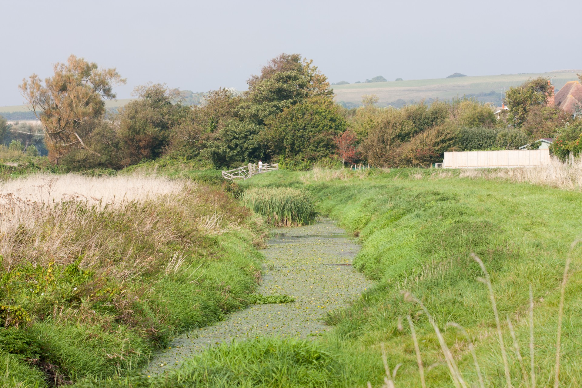 countryside stream view free photo
