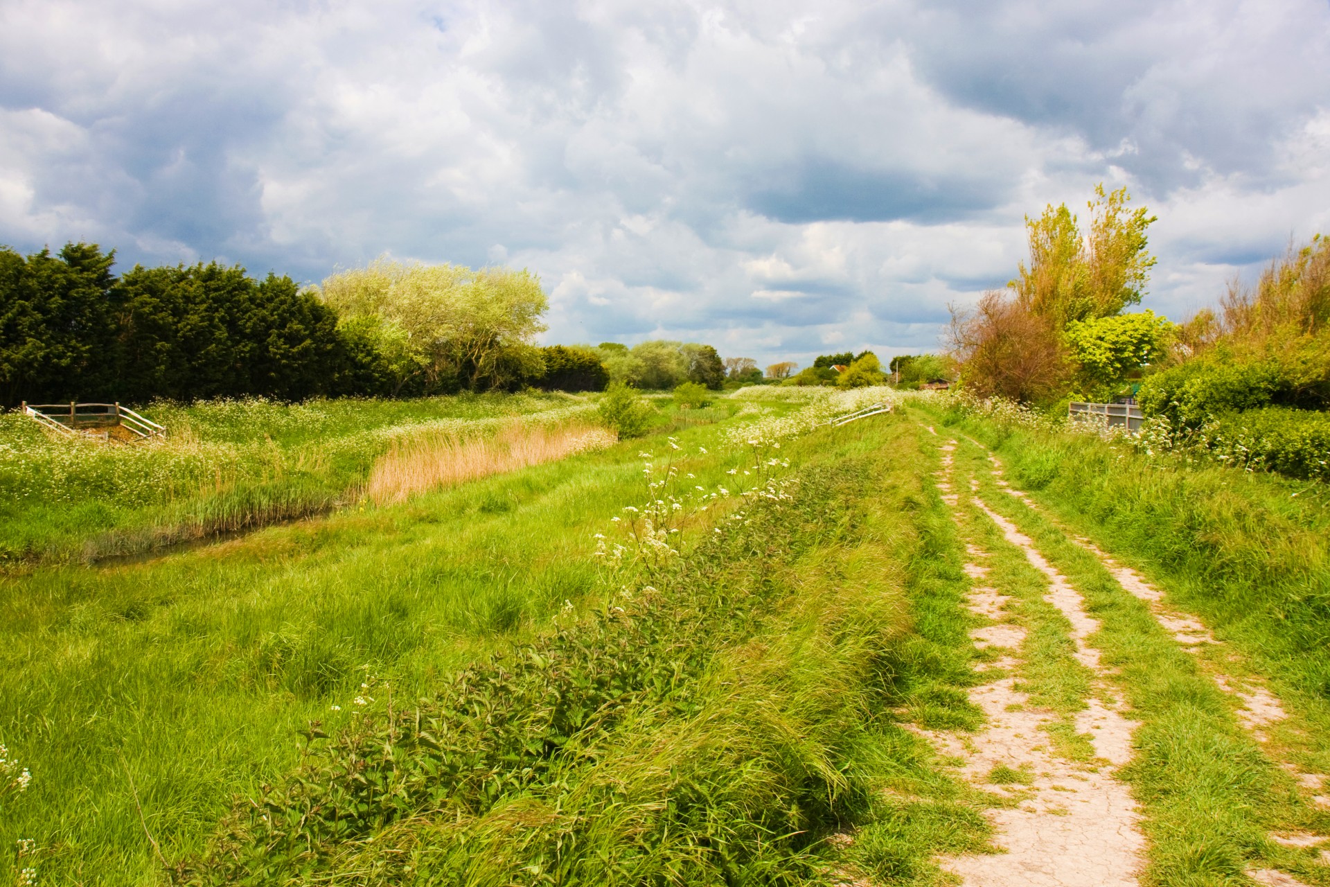 trail track path free photo