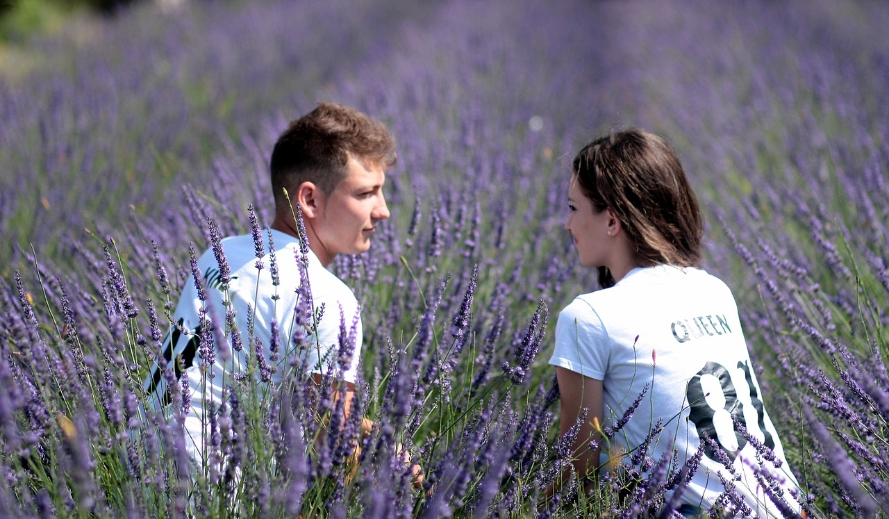 couple lavender love free photo