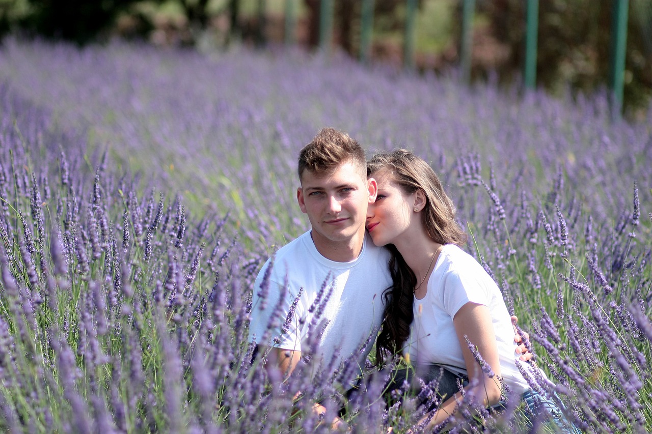 couple lavender love free photo