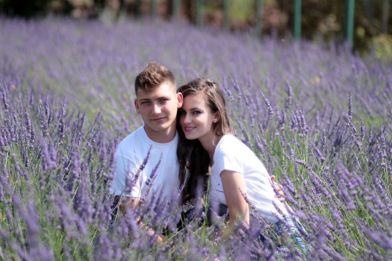couple lavender love free photo