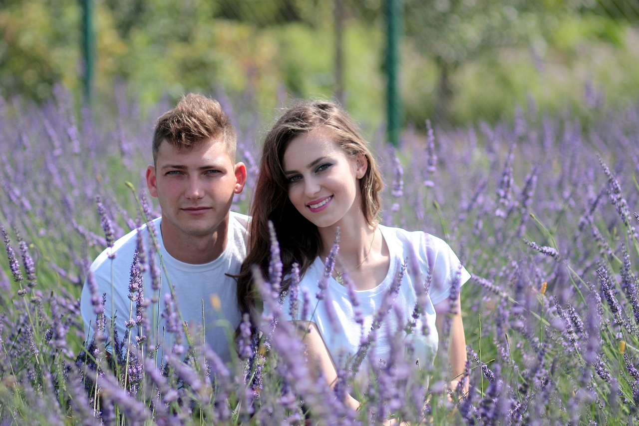 couple lavender love free photo