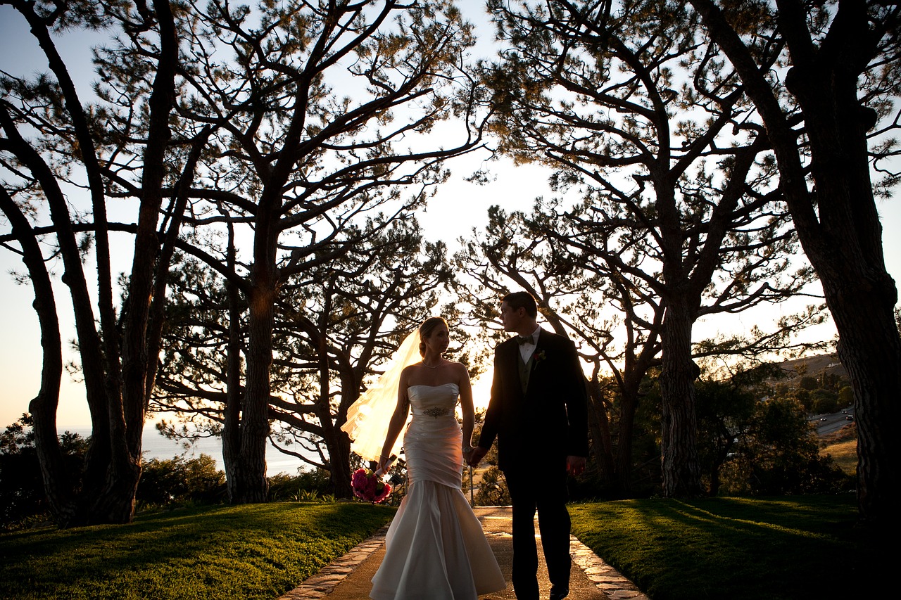 couple wedding day trees free photo