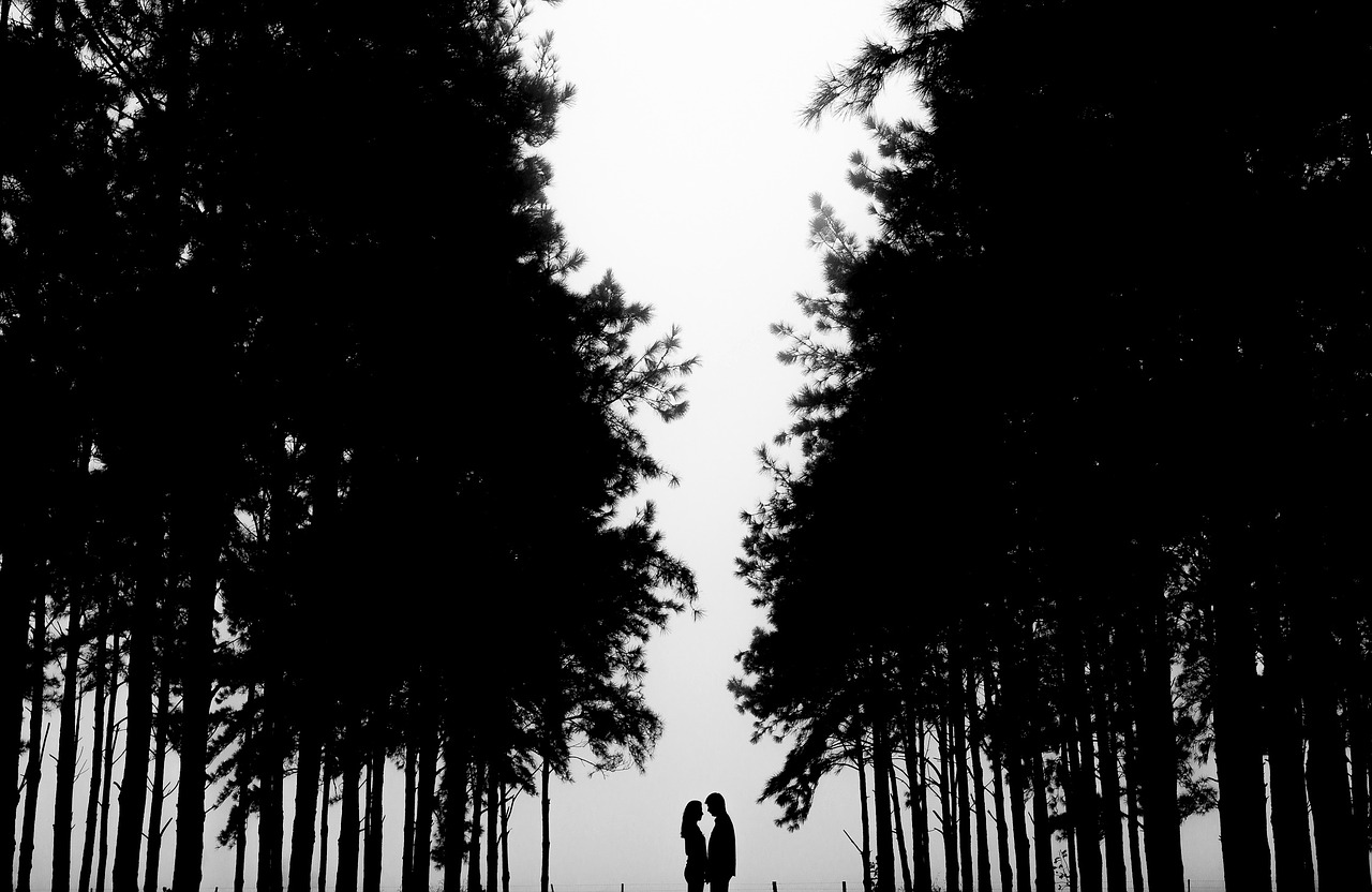 couple silhouette nature free photo