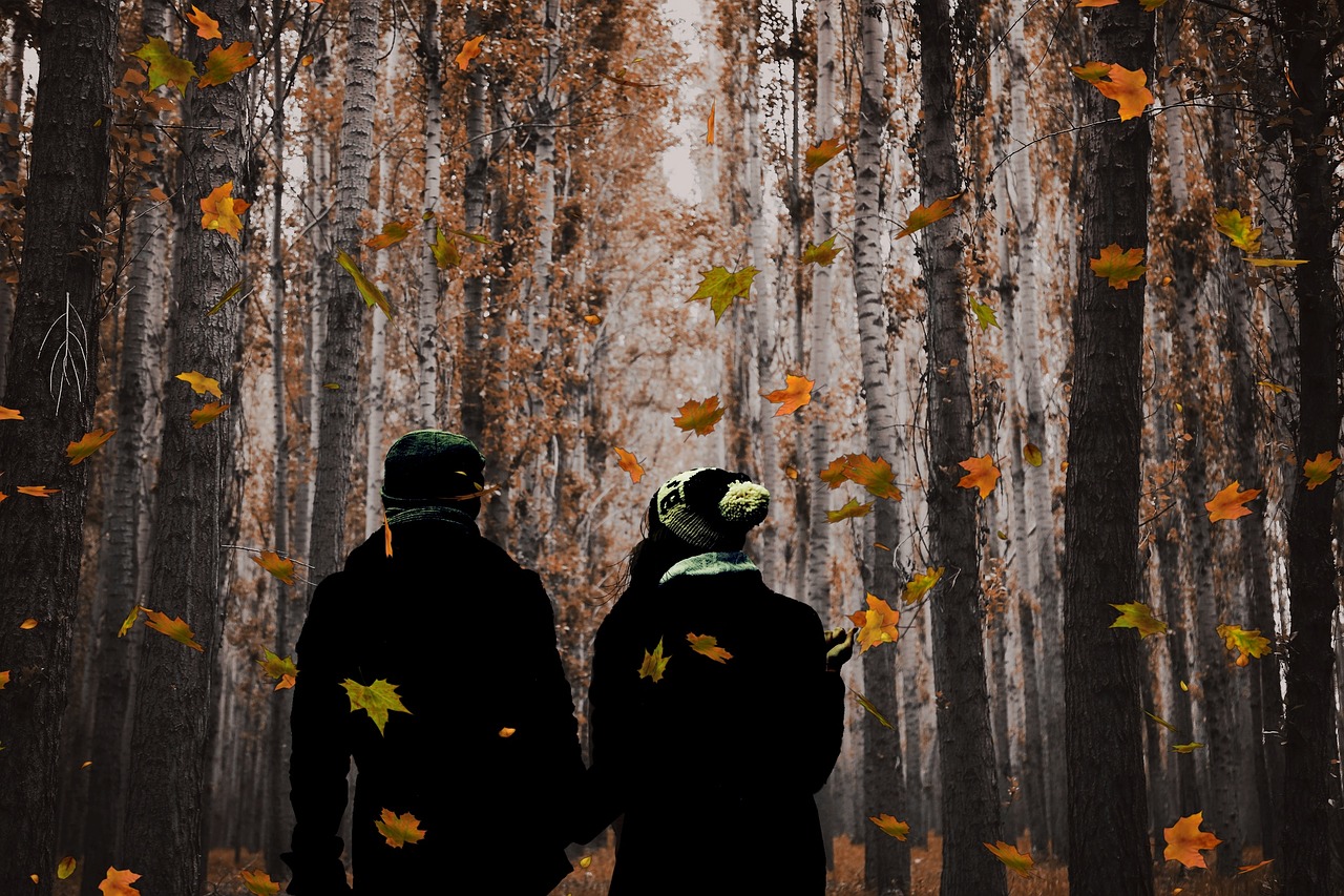 couple fall autumn free photo