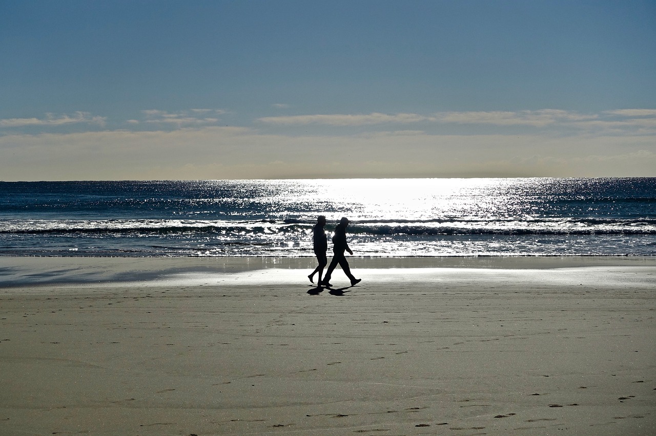 couple  stroll  beach free photo