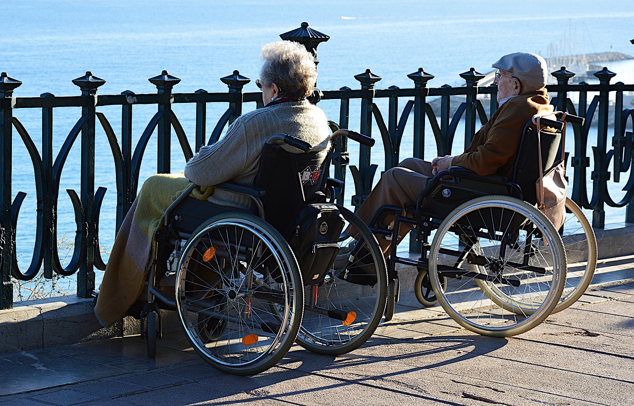 couple  handicap  wheelchair free photo