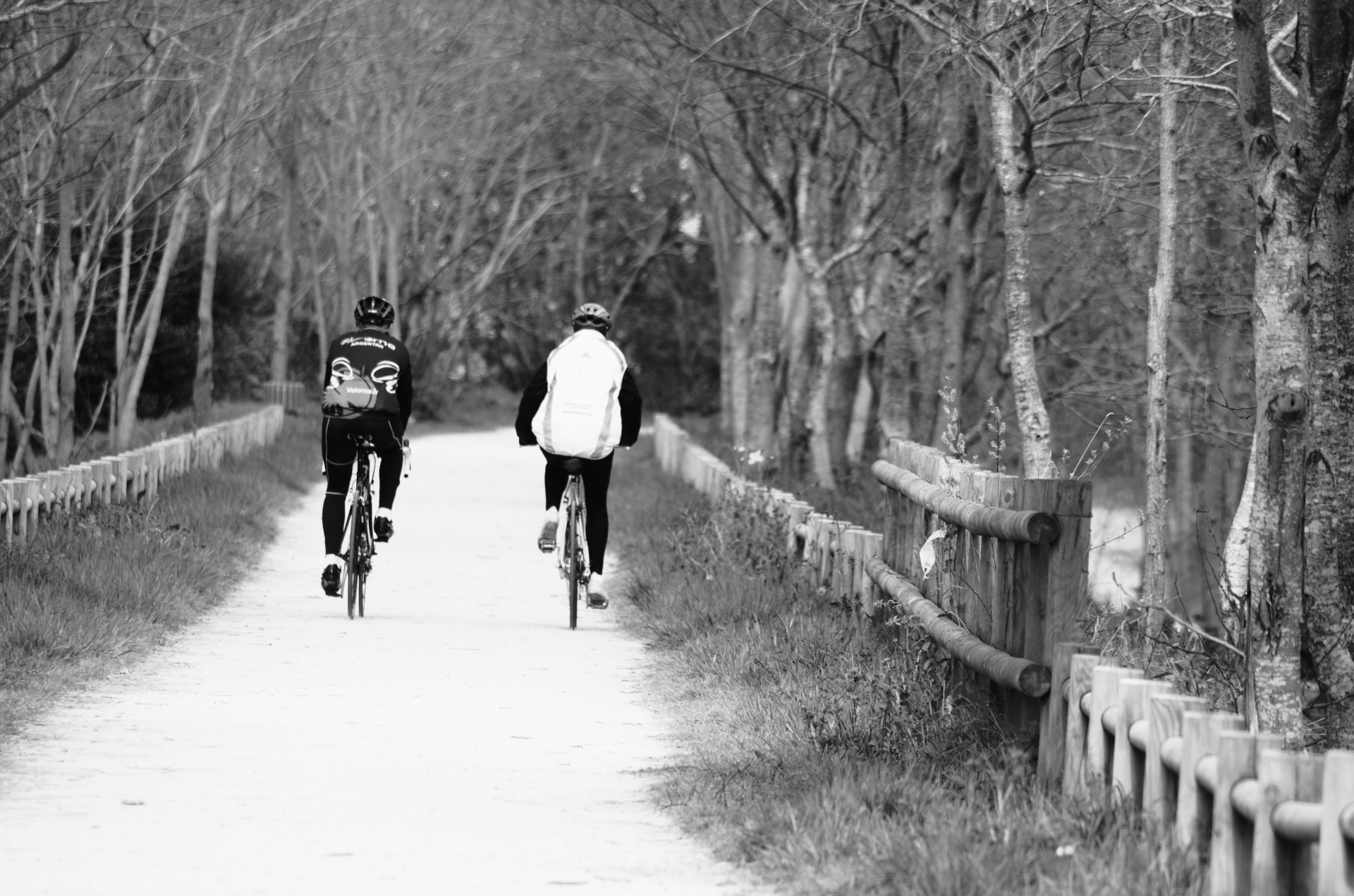 cycling walking people free photo