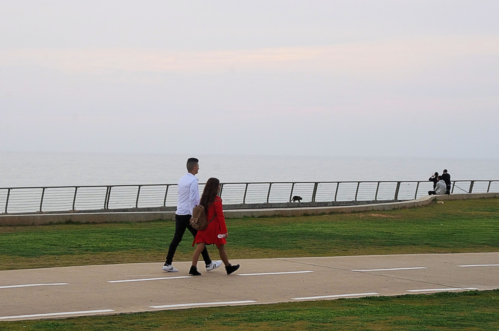 couple strolling beach free photo