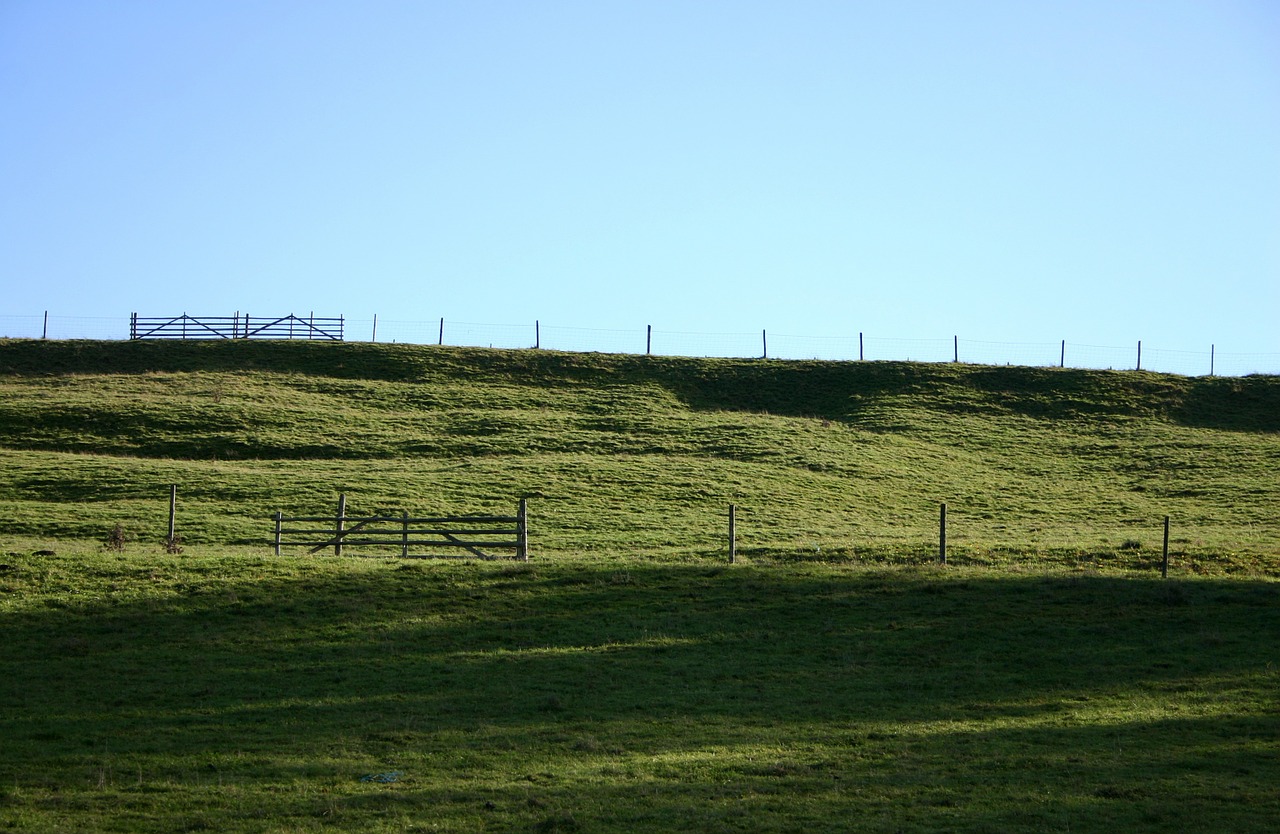 coupling pasture meadow free photo