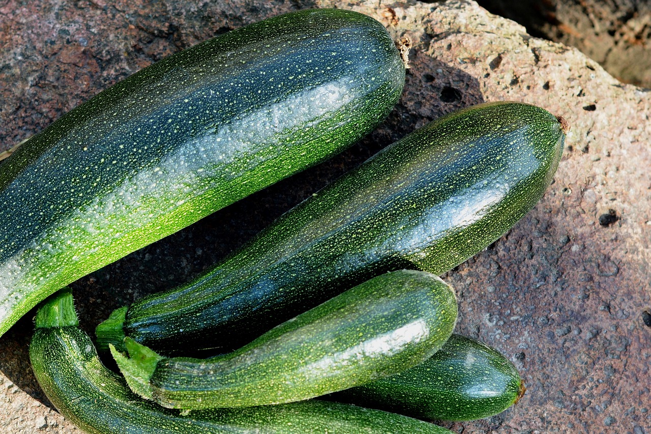 courgettes zucchini vegetables free photo