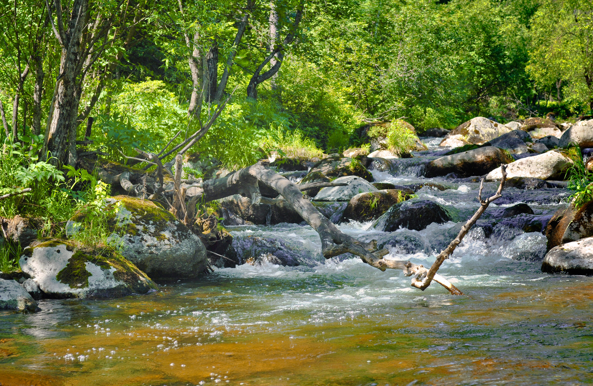 river waterfall over free photo