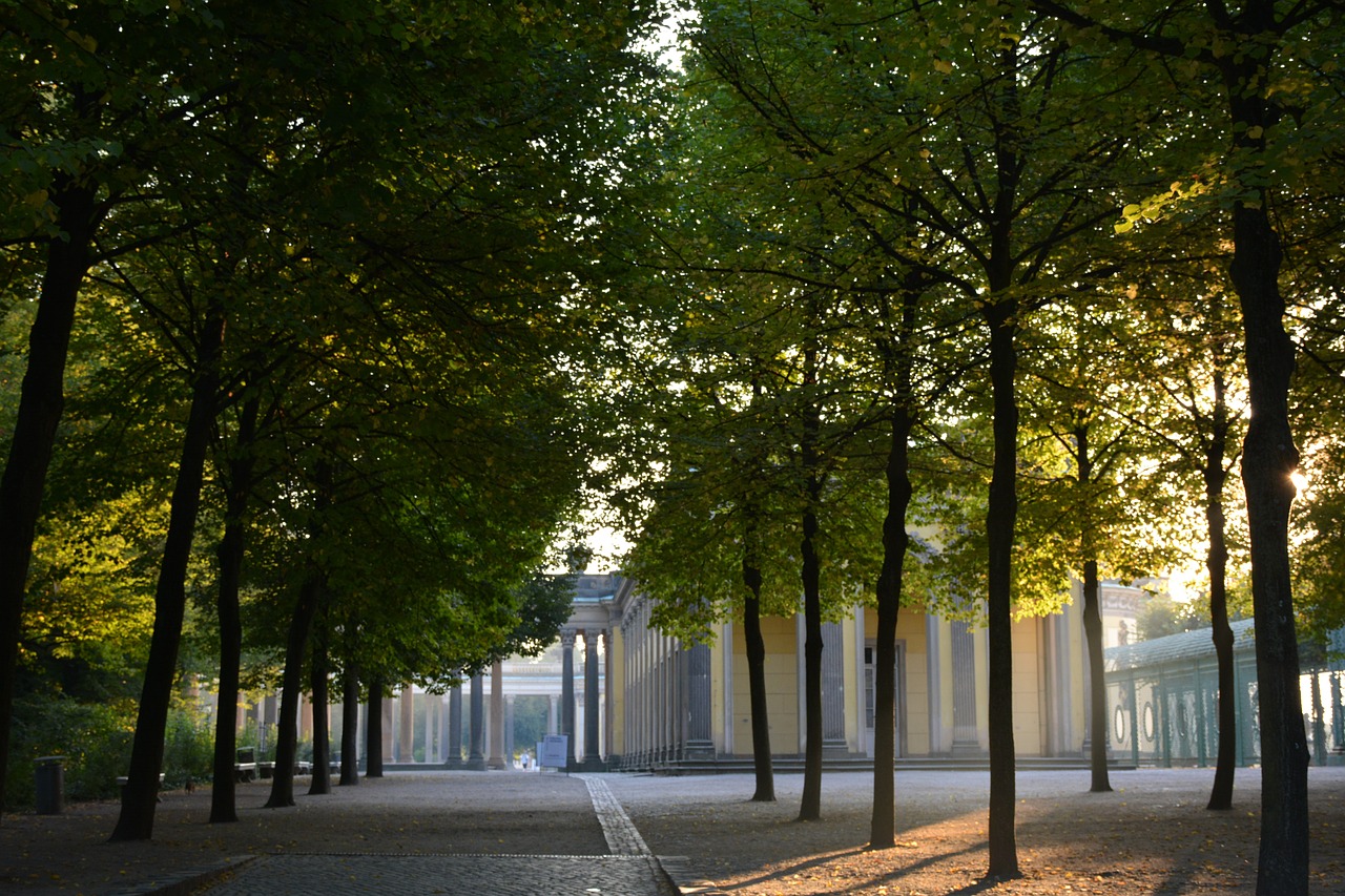 court of honor sanssouci potsdam free photo