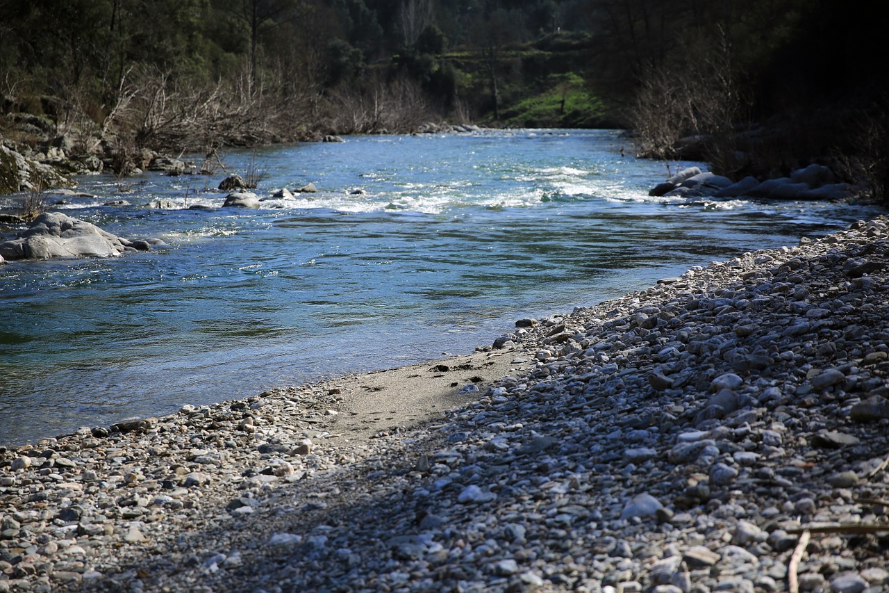 court of water river nature free photo