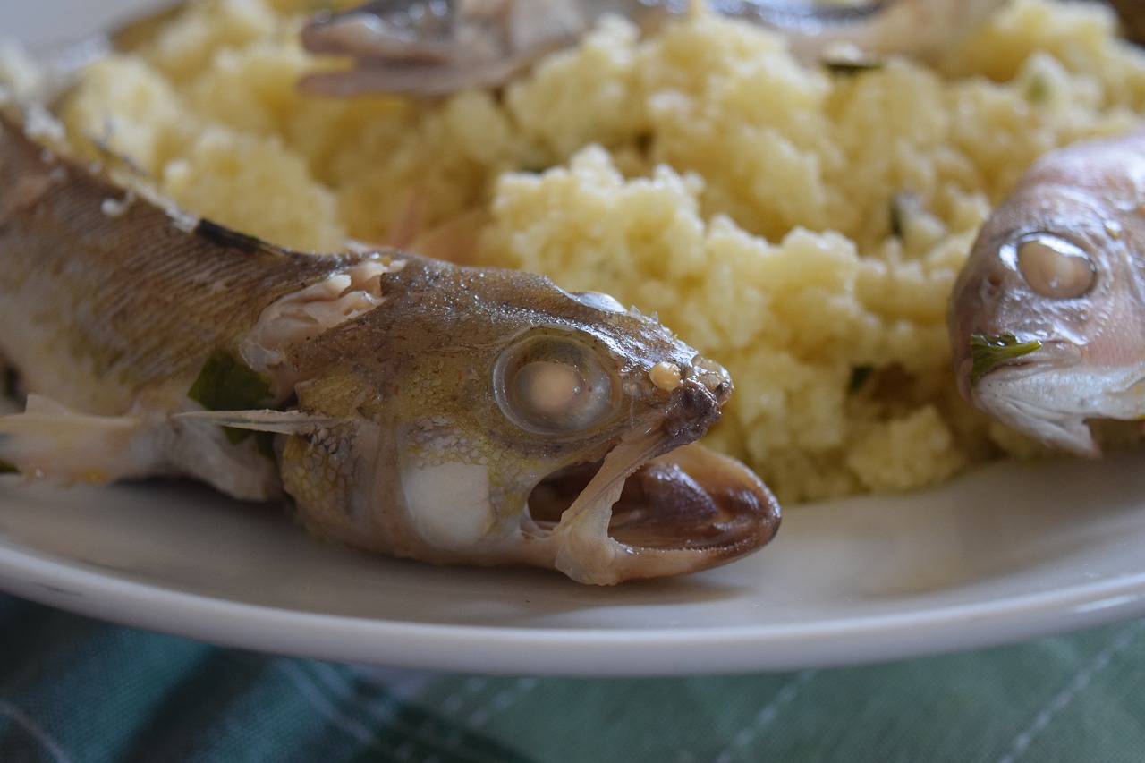 couscous fish mediterranean free photo