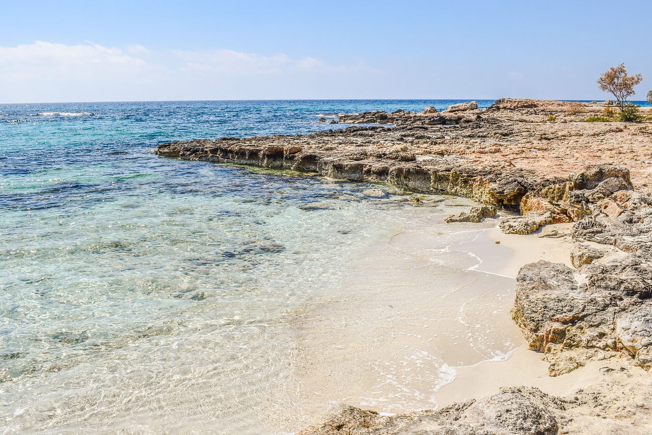 cove beach sea free photo