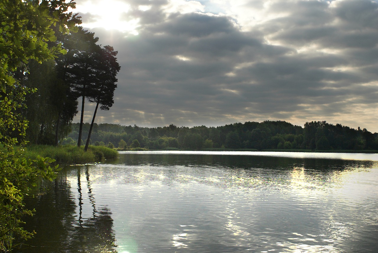 cove  island  water free photo