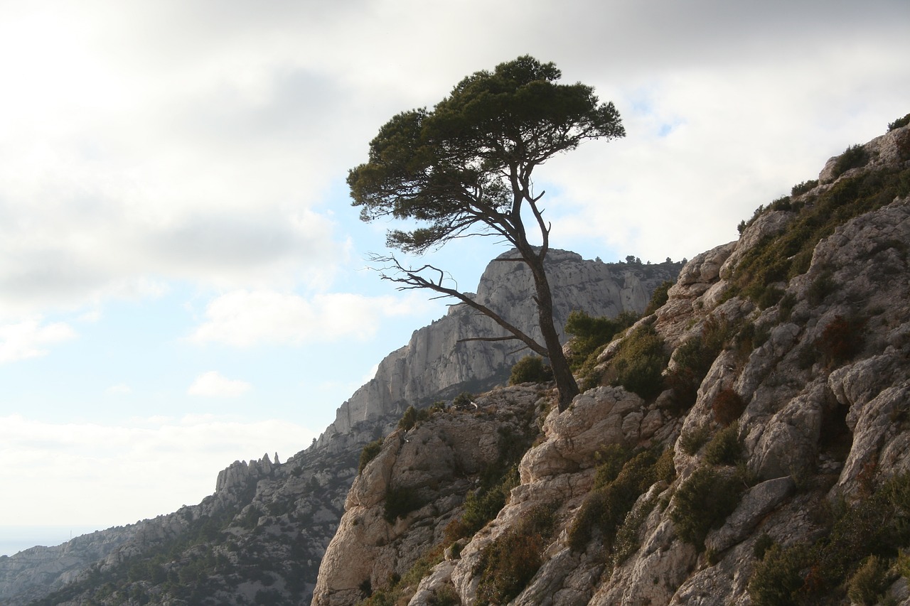 cove  marseille  sea free photo