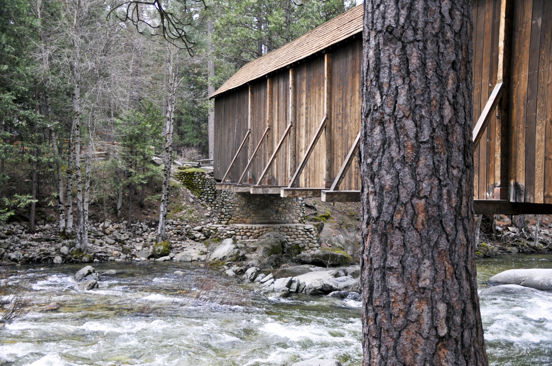 bridge bridges wooden bridge free photo