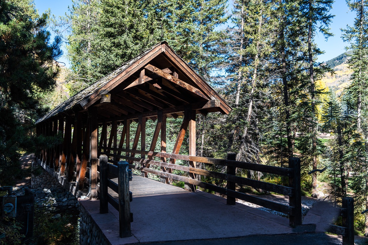 covered bridge nature landscape free photo