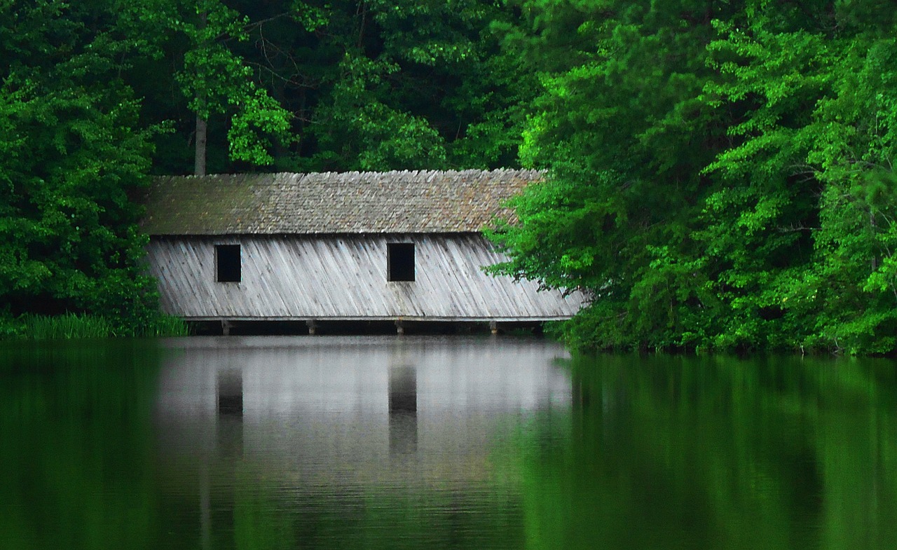 covered bridge nature trees free photo