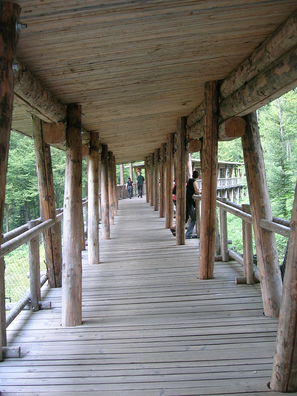 covered bridge wood nature free photo