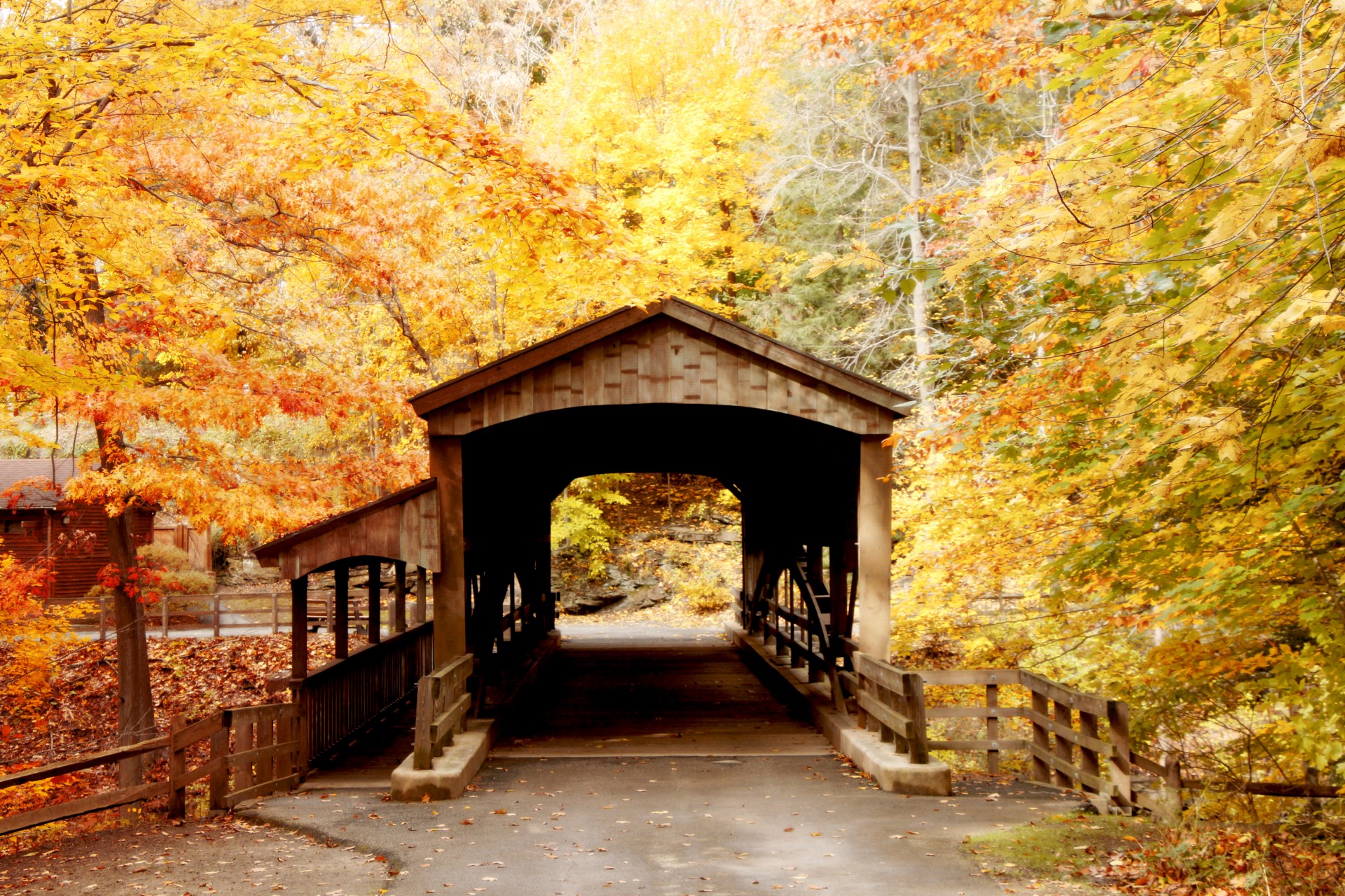 bridge covered bridge autumn free photo