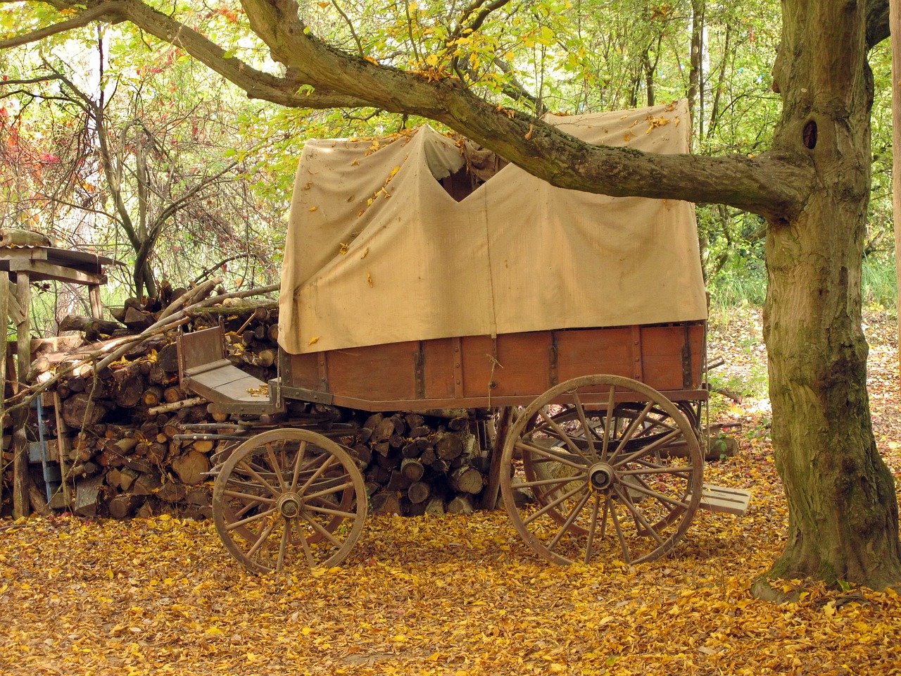 covered wagon wooden cart wagon free photo