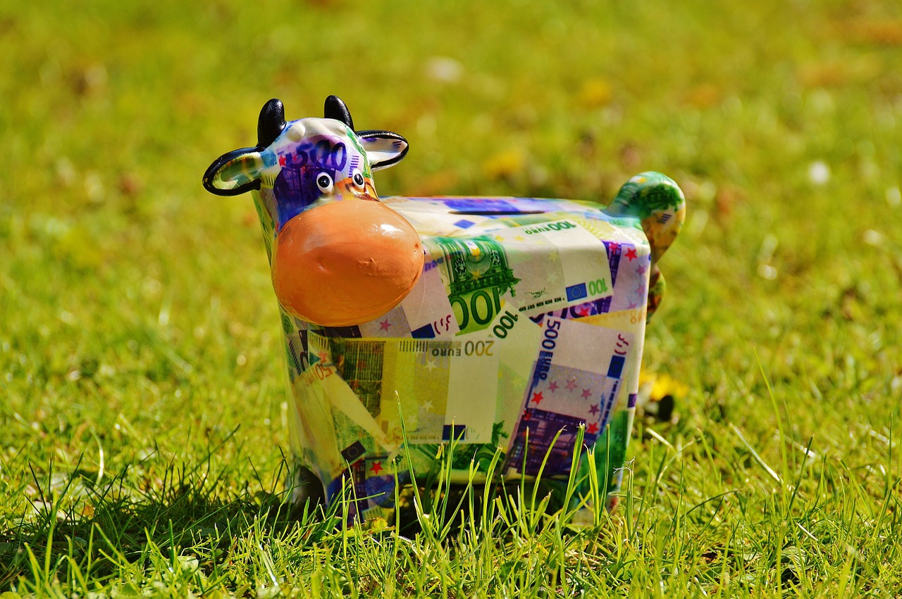cow save money free photo
