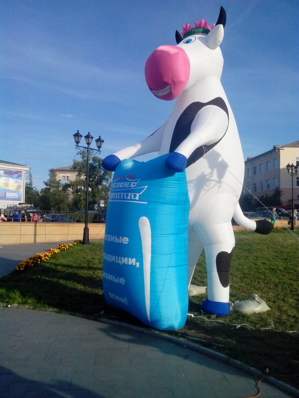 cow inflatable day milk free photo