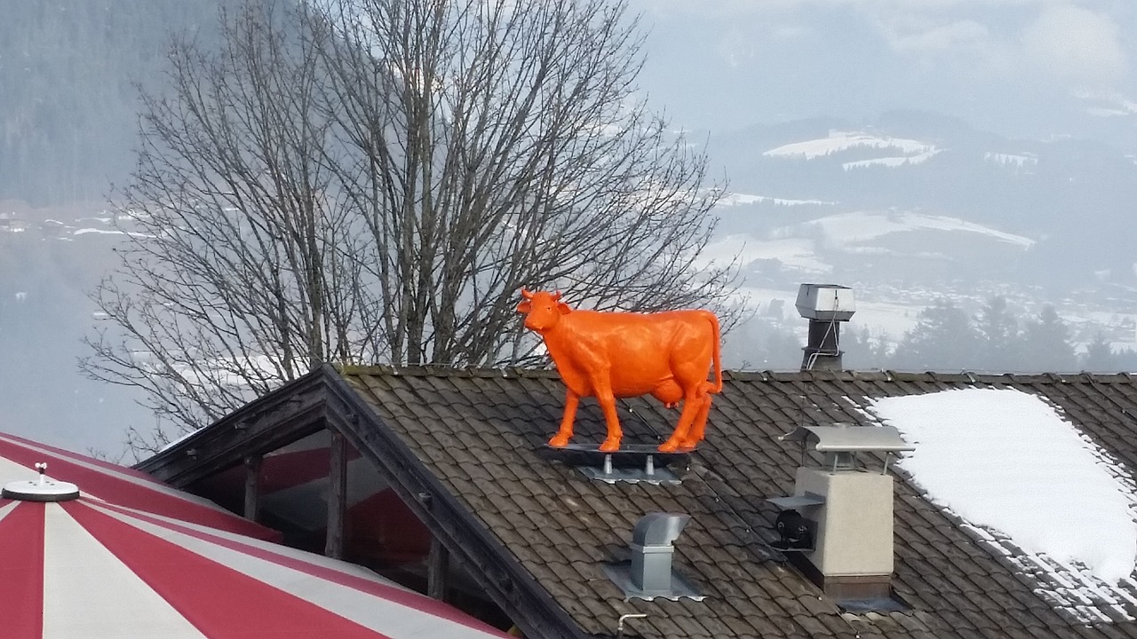 cow roof kitzbühel free photo