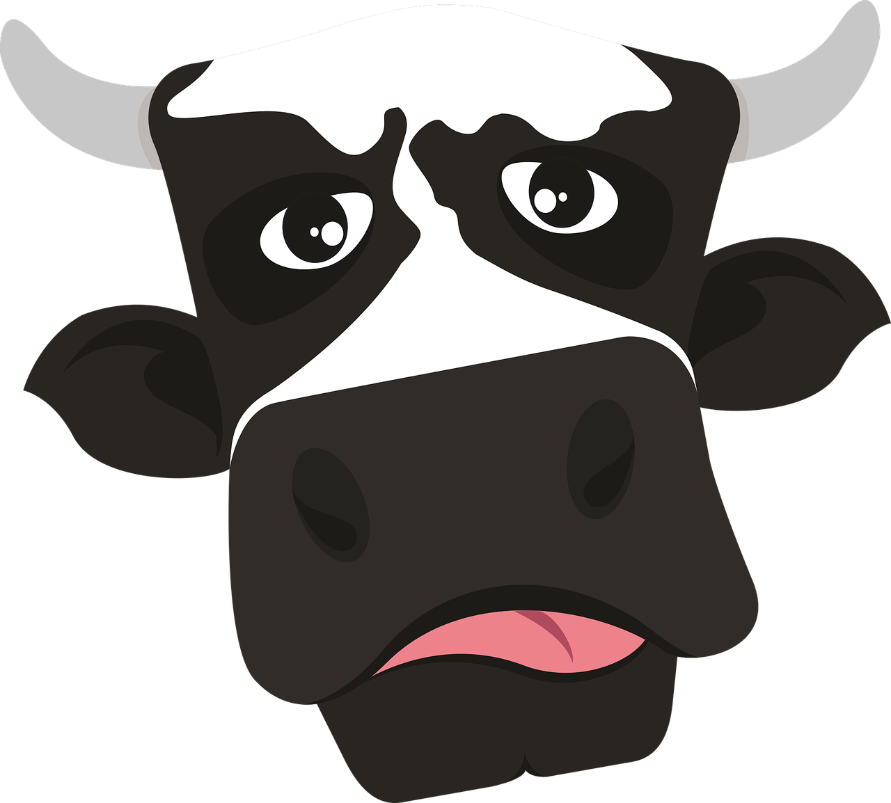 cow moo vegan free photo
