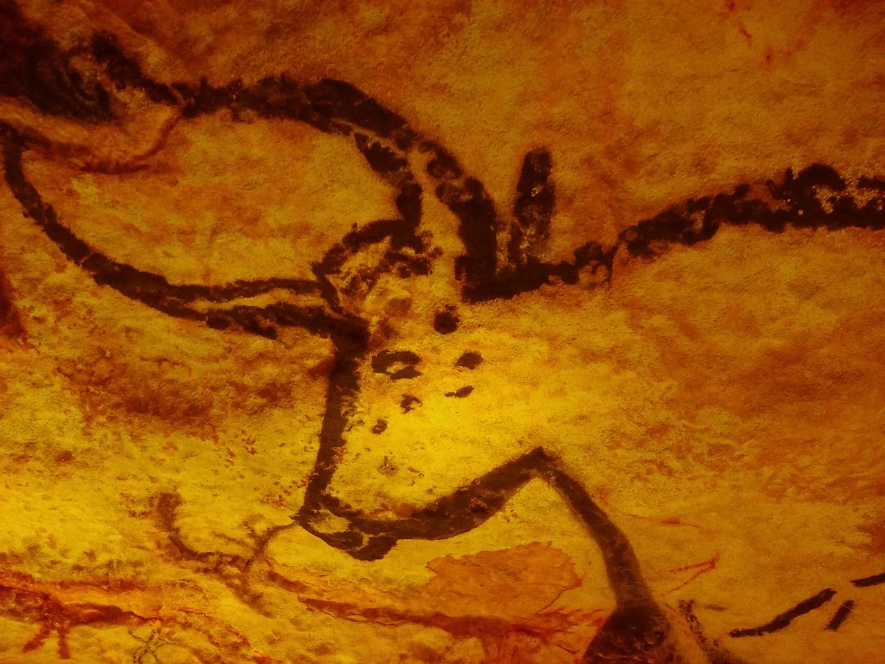 cow painting a wall prehistory free photo