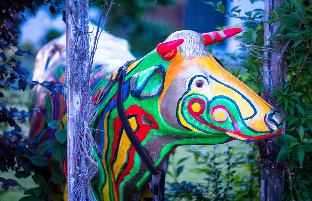 cow  colorful  painted free photo