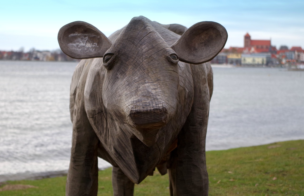 cow  animal sculpture  wood sculpture free photo