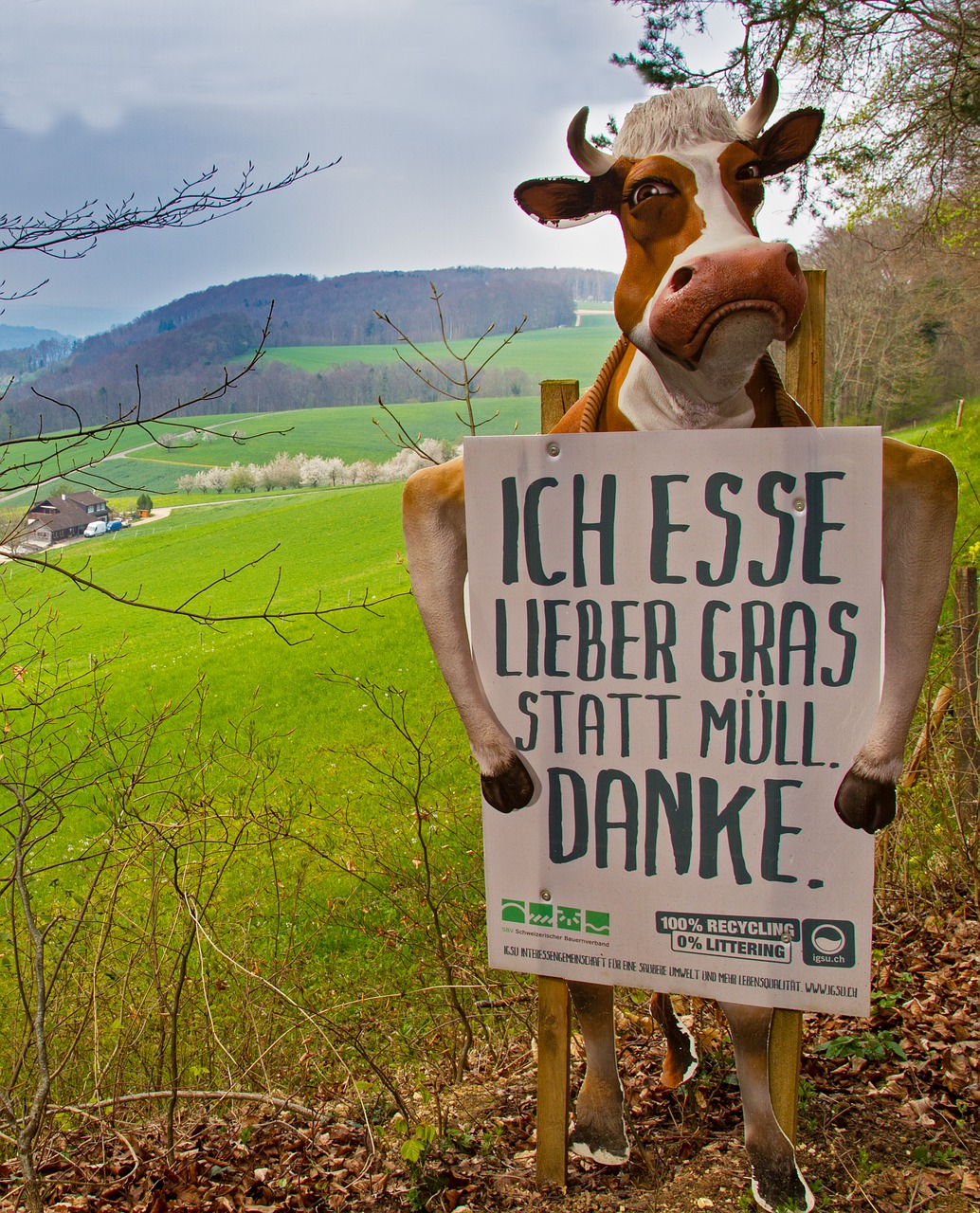 cow  warning sign  warning free photo